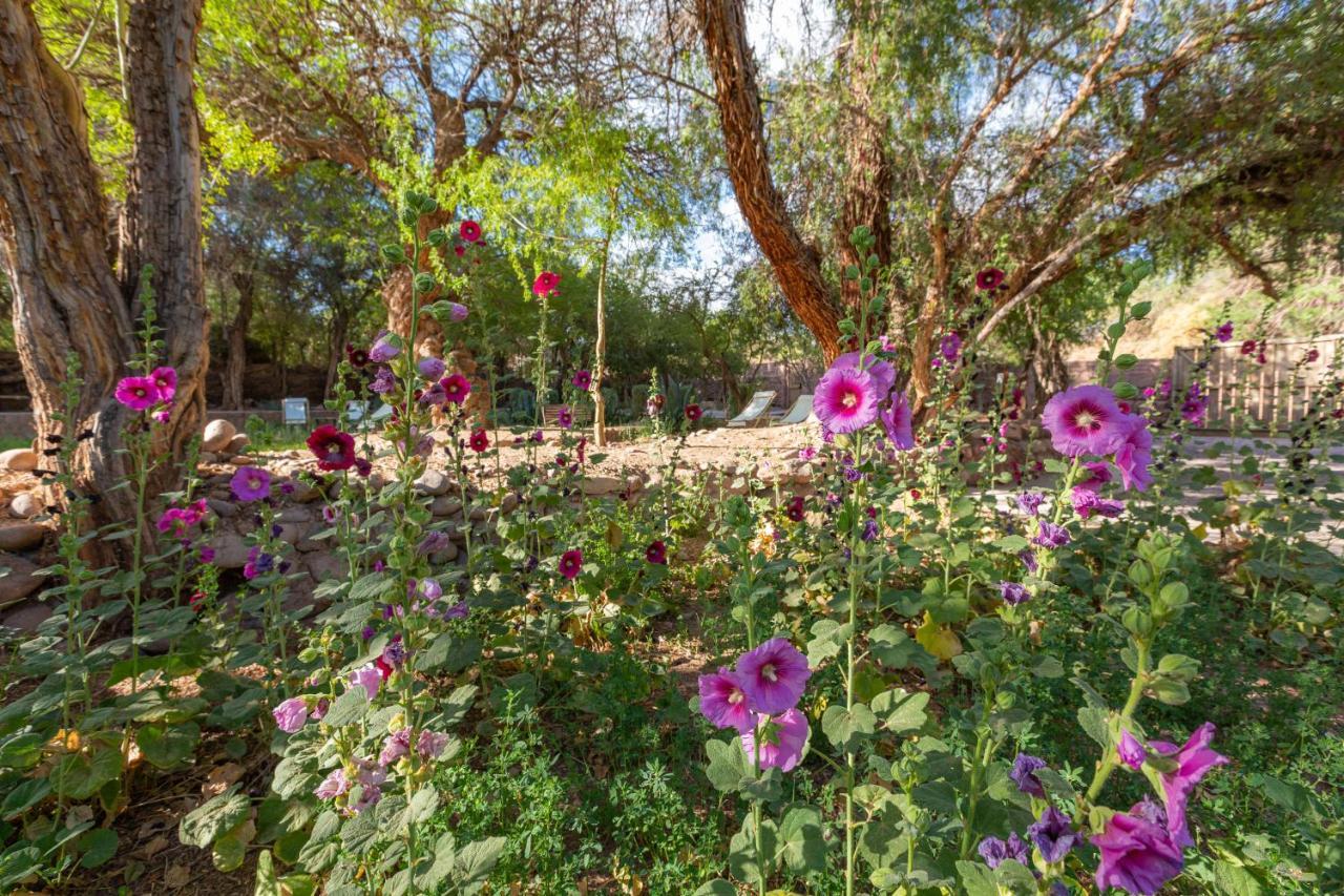 Casa Solcor Boutique Bed & Breakfast San Pedro de Atacama Exterior photo