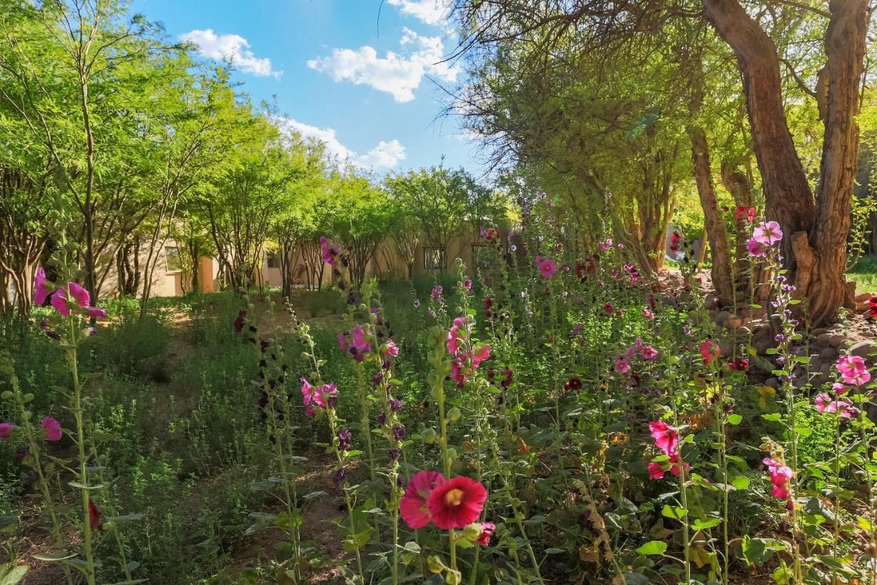 Casa Solcor Boutique Bed & Breakfast San Pedro de Atacama Exterior photo